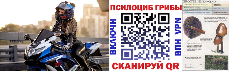 сколько стоит Новоузенск ОМГ ОМГ рабочий сайт Псилоцибиновые грибы прущие грибы